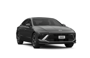 الفخامة و الجمال 